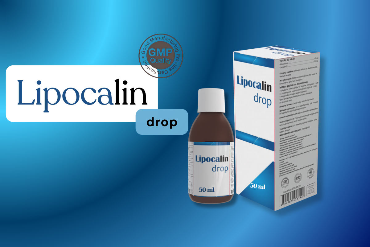 Free HTML5 Website Template by FreeHTML5.co